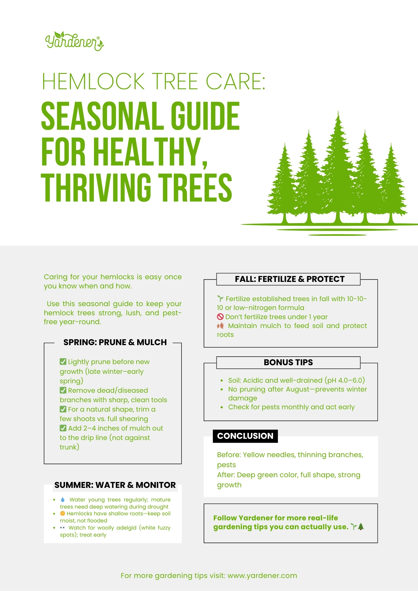 Hemlock Tree Care
