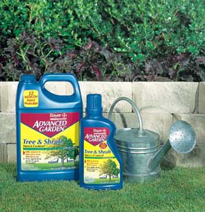 Bayer tree and shrub for fleas on discount dogs